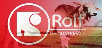 Rolf de Guatemala
